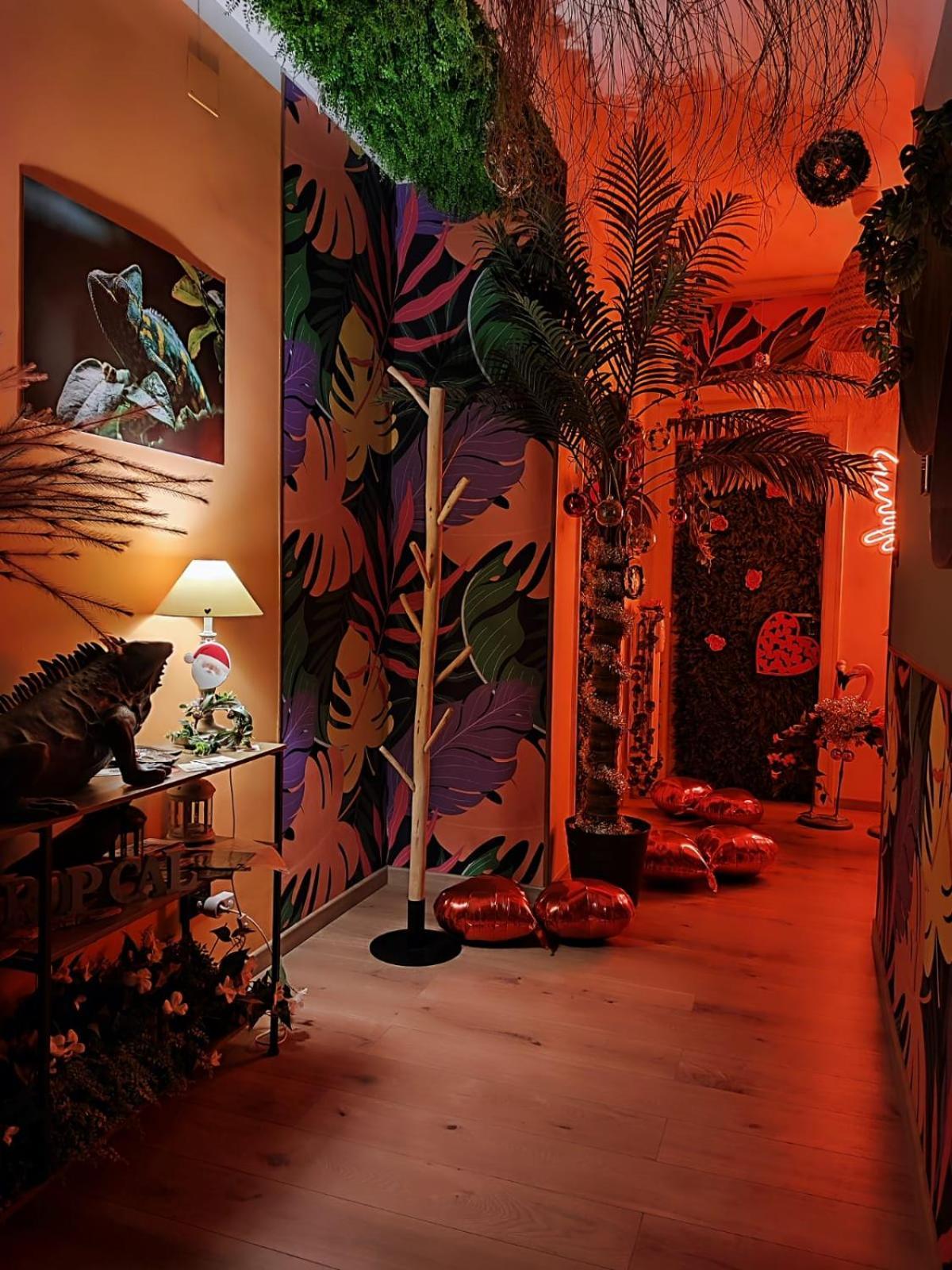 Suite Maison Tropical - Luxury Apartment In בארי מראה חיצוני תמונה