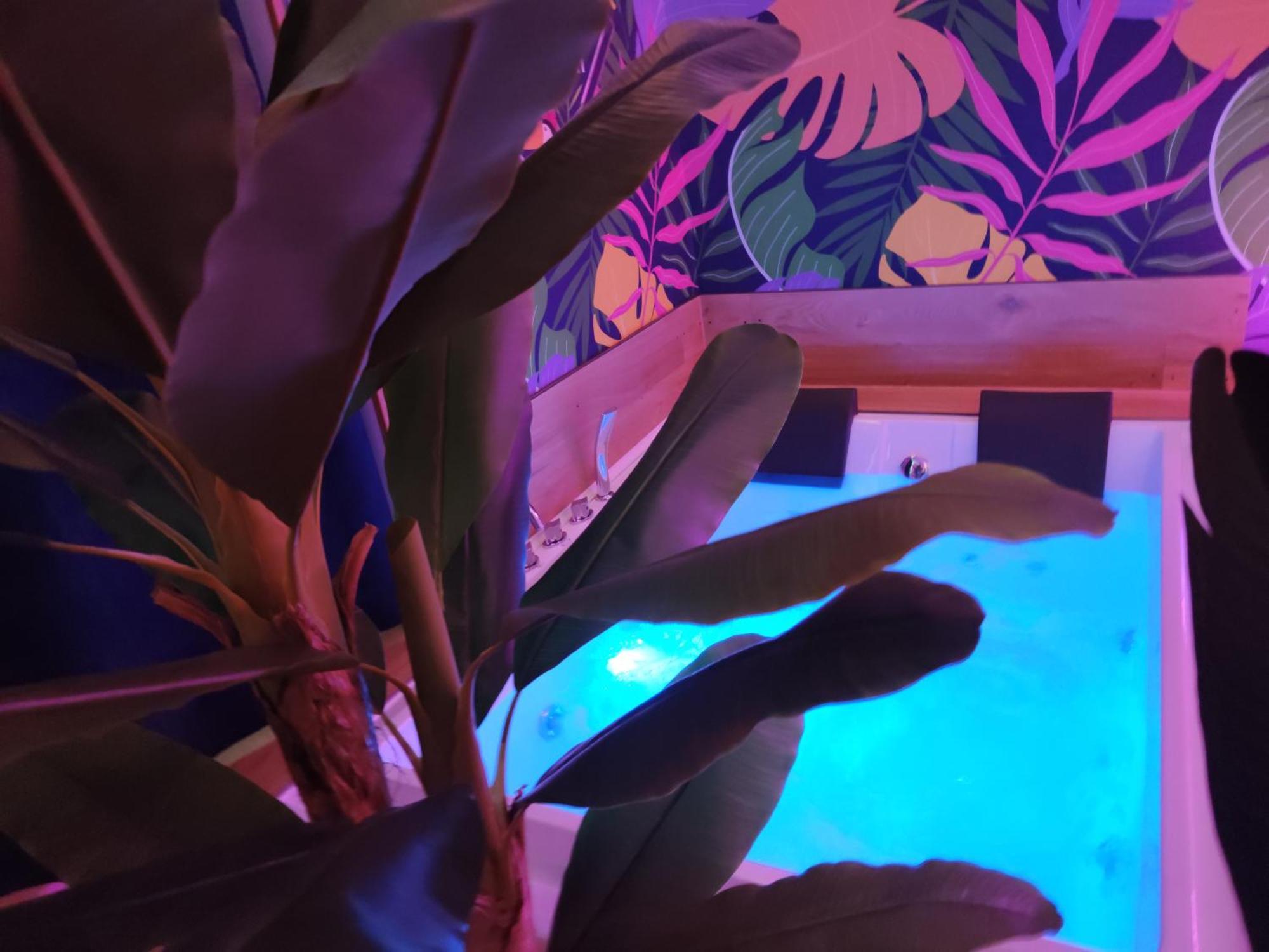 Suite Maison Tropical - Luxury Apartment In בארי מראה חיצוני תמונה